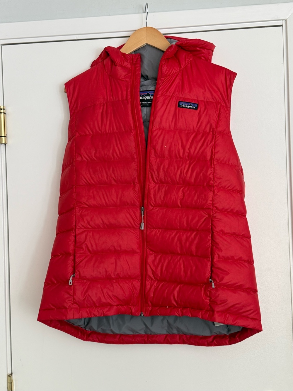 Patagonia Women's Red Jacket with Grey Lining
